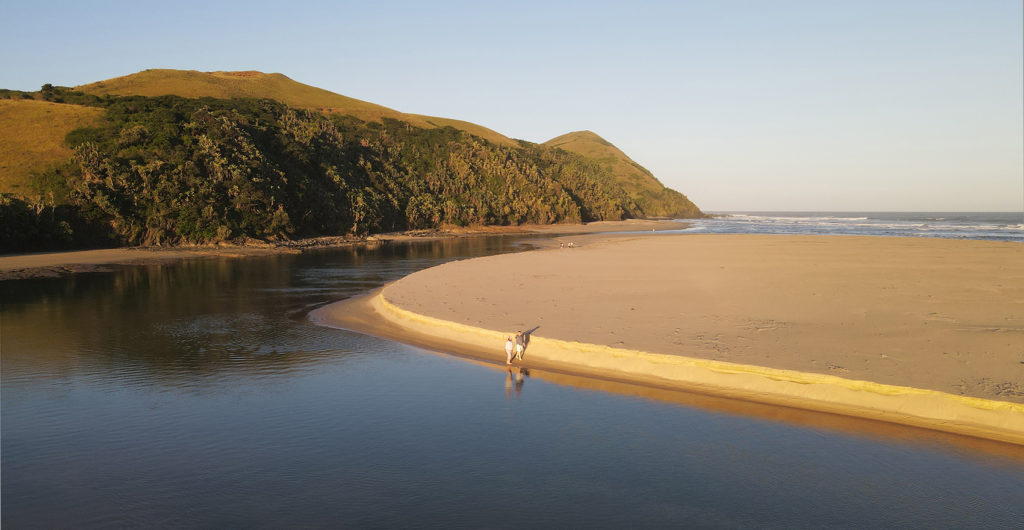 Umngazi Beach Holiday Beach Walk