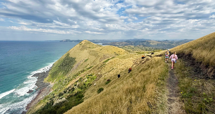 Scenic view leading to Wild Coast South Africa coastline
